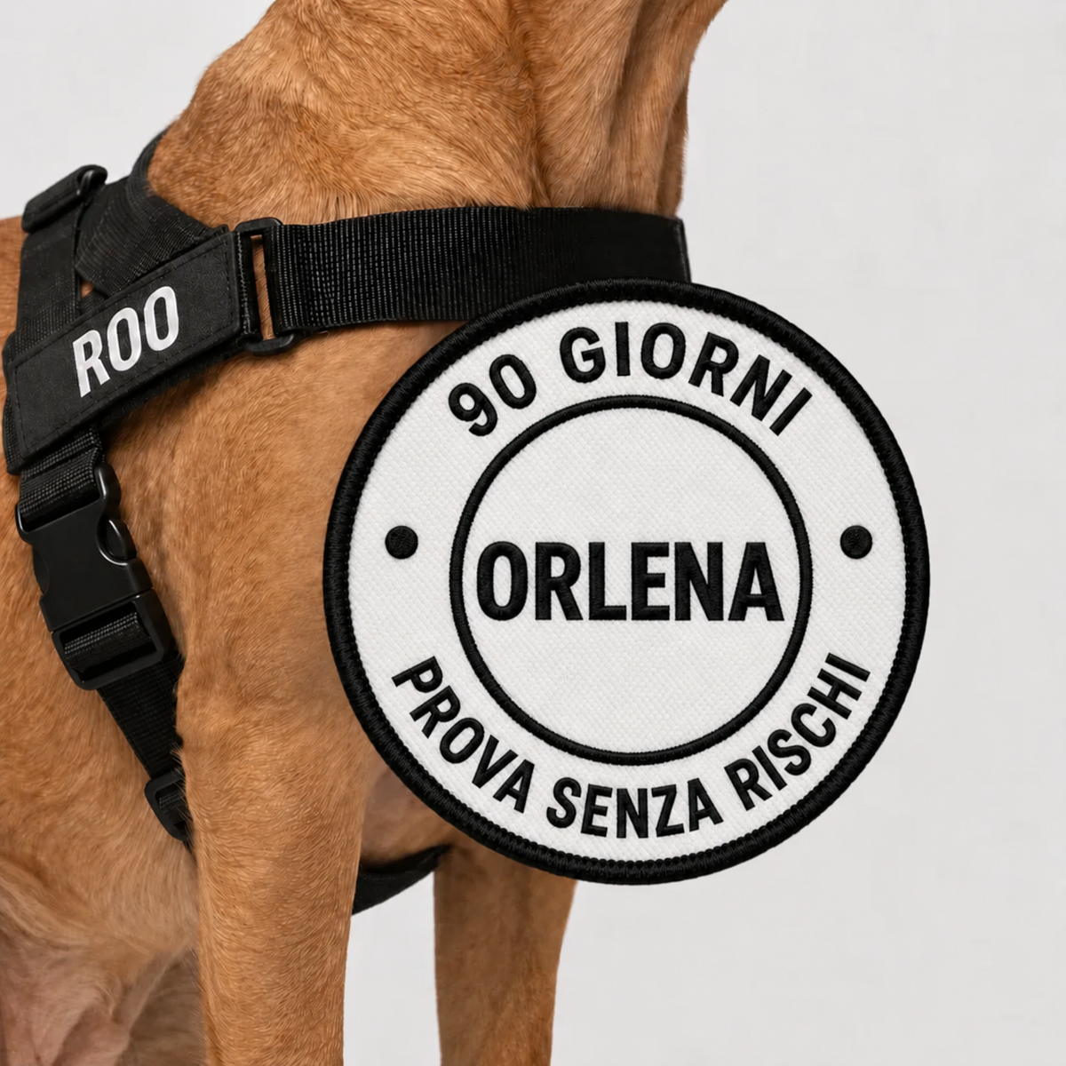 Orlena Walk - Pettorina Antitiro